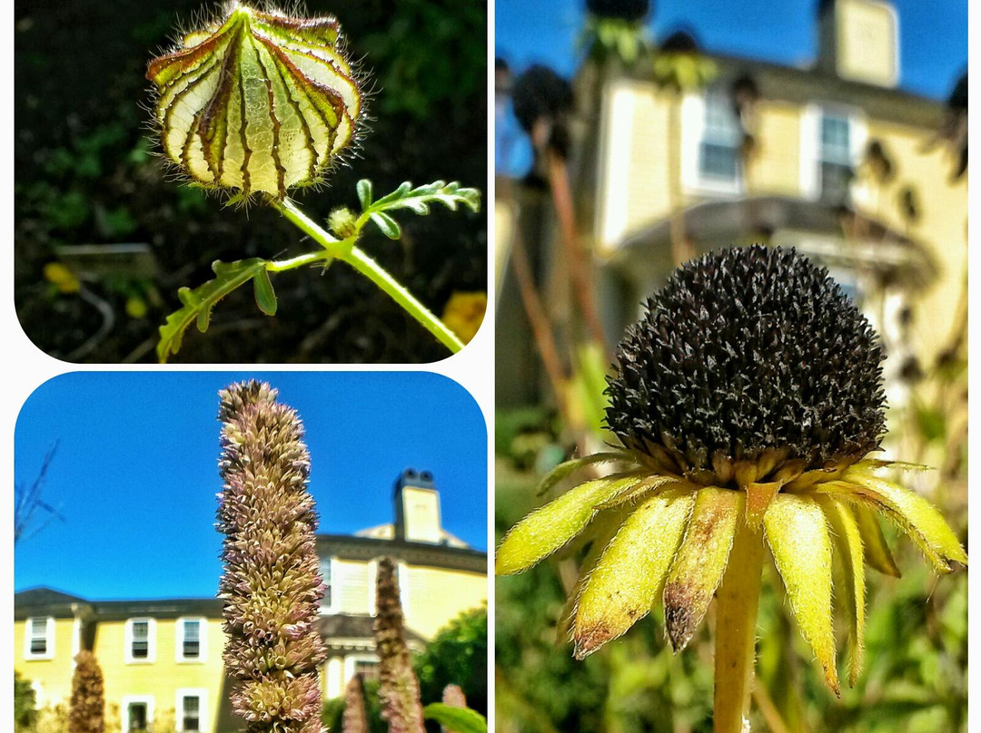 Varnum House Museum-East Greenwich必去景点