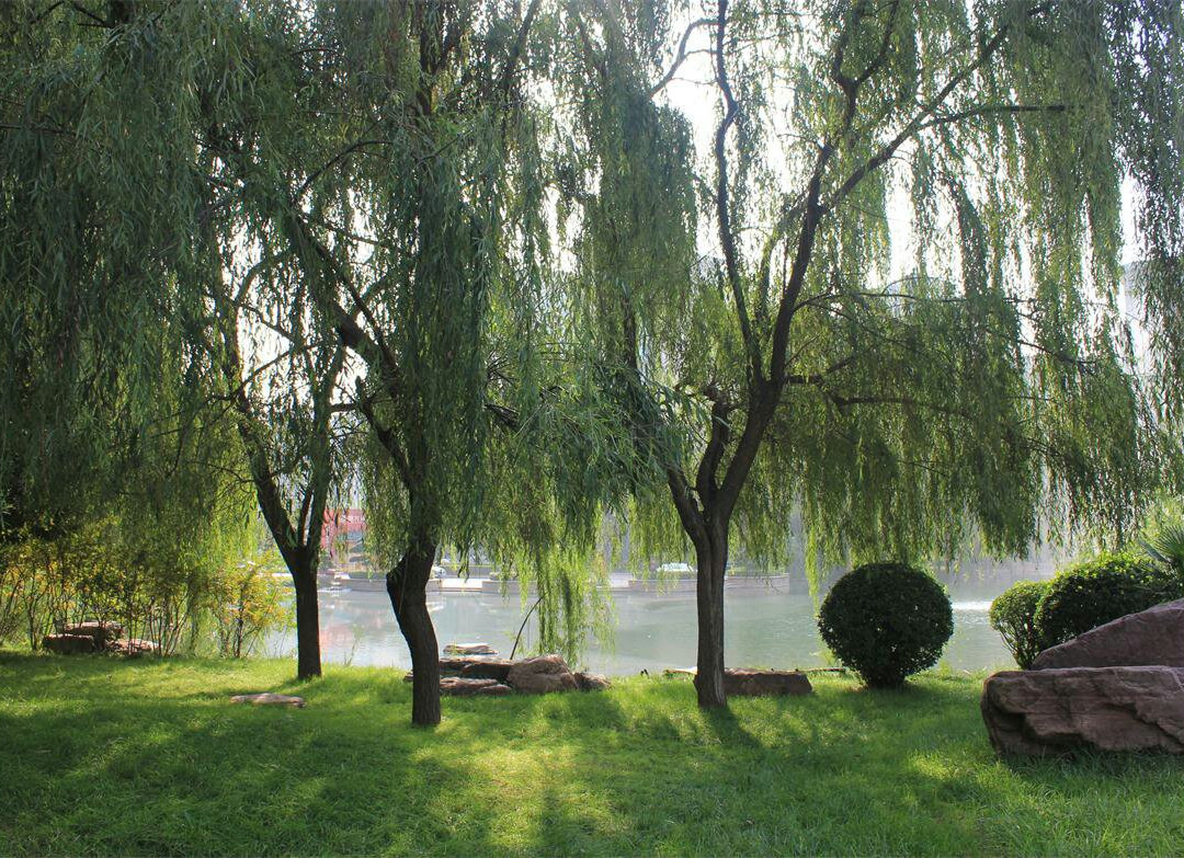 洛埔公园-洛阳市必去景点