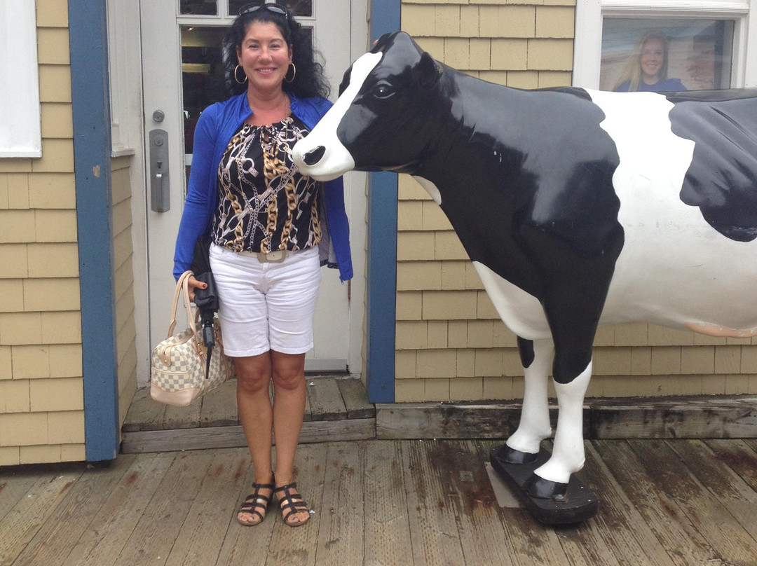 Cow's-哈利法克斯必去景点