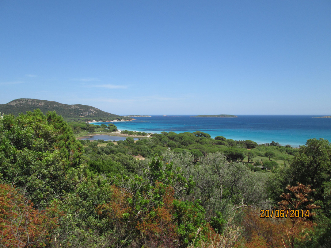 Plage de Tamaricciu-维琪奥港必去景点