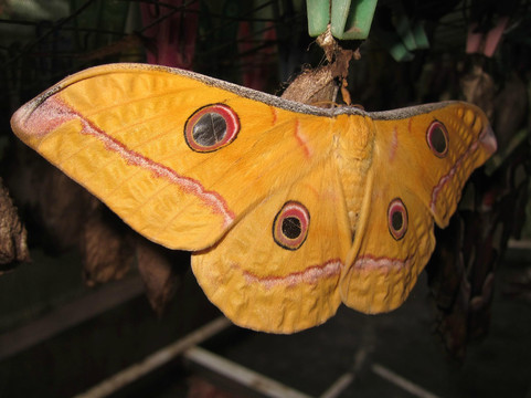 Made Dodi - Private Driver And Tour Guide Bali-库塔必去景点