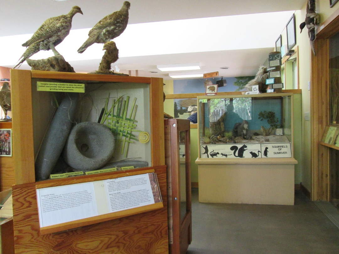 Sunriver Nature Center-太阳河必去景点