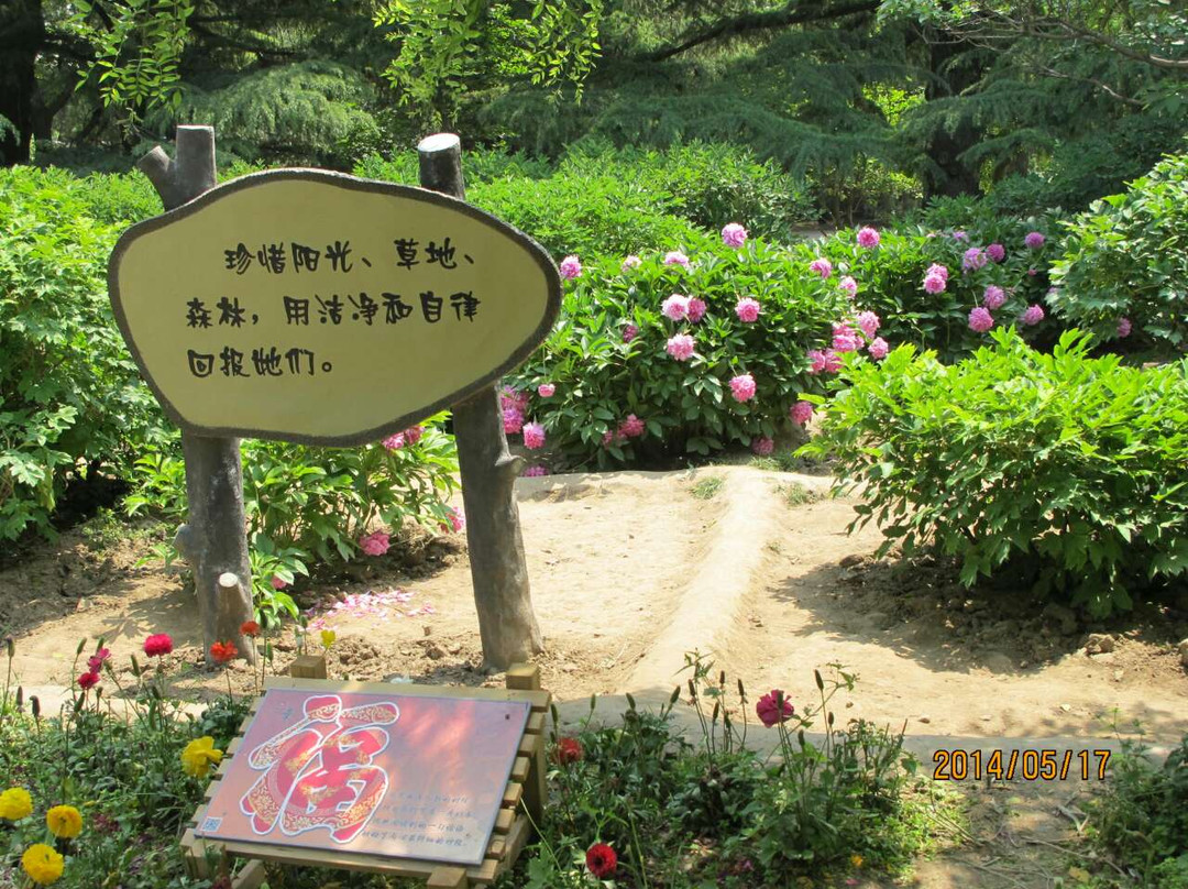香山公园-北京市必去景点