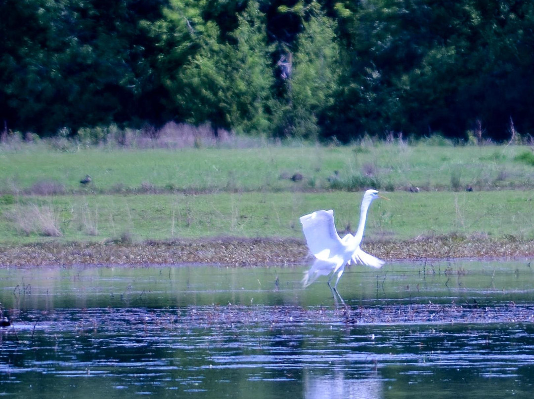 Jackson Bottom Wetlands Preserve-希尔斯伯勒必去景点