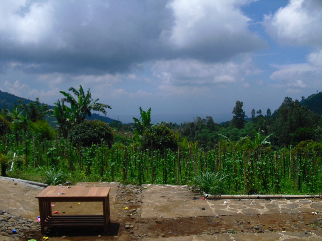 Istana Petani Homestay主图