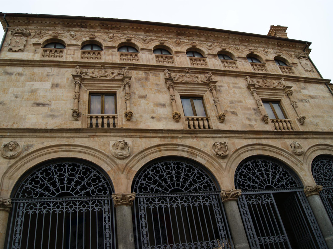 Palacio de la Salina-萨拉曼卡必去景点