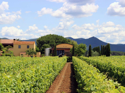 Terre del Marchesato-Bolgheri必去景点
