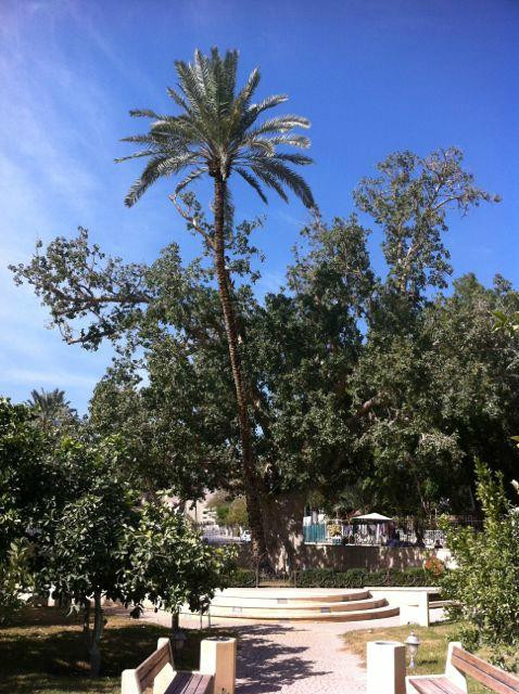 Russian Museum Jericho-Jericho必去景点