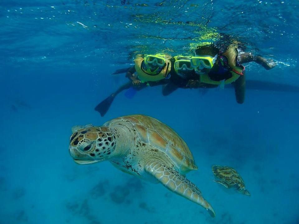 Cliff Sharker-奥伊斯廷斯必去景点