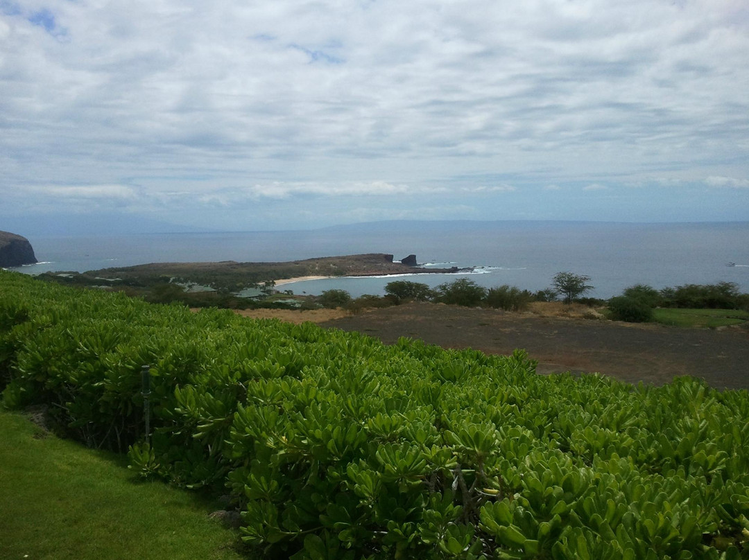 Sweetheart Rock-拉奈岛必去景点