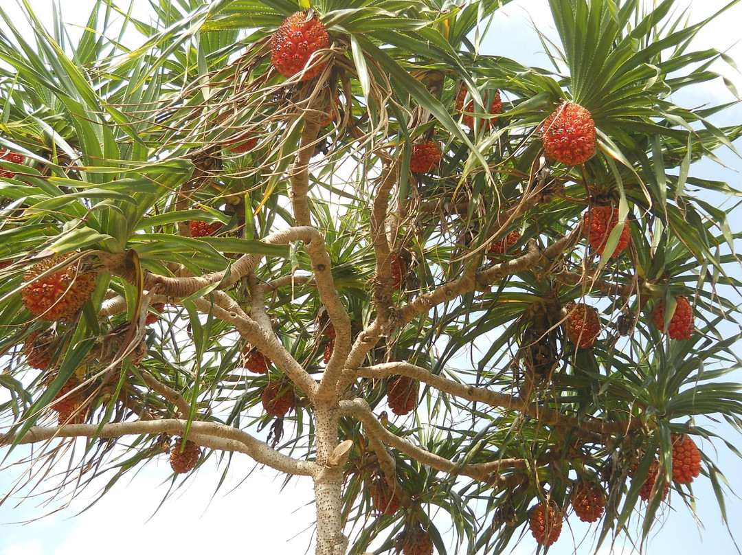 Di-Atay Beach-Mahatao必去景点