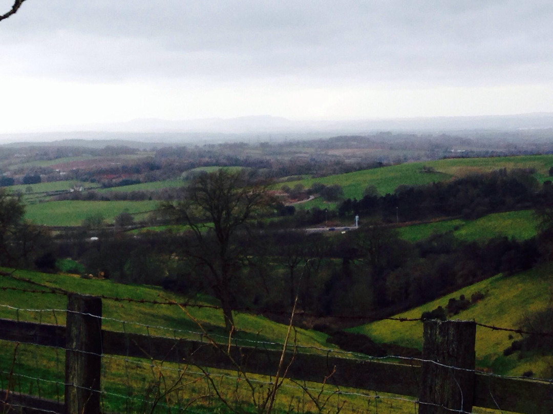 Waseley Hills Country Park-伯明翰必去景点