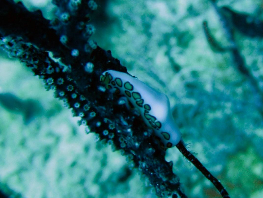 Ti'bulles-Grand Bourg必去景点