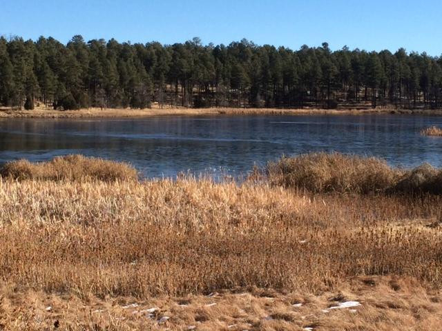 Woodland Lake Park-Pinetop-Lakeside必去景点