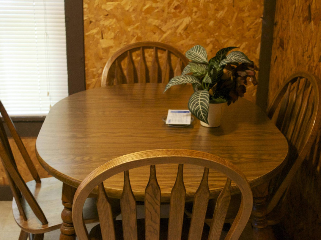 Alligator II Marina-Russell Springs必去景点