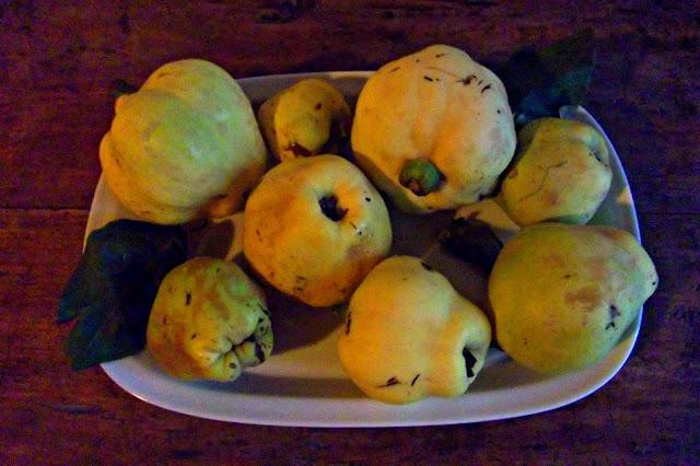 Tetxe B&B Roncal主图