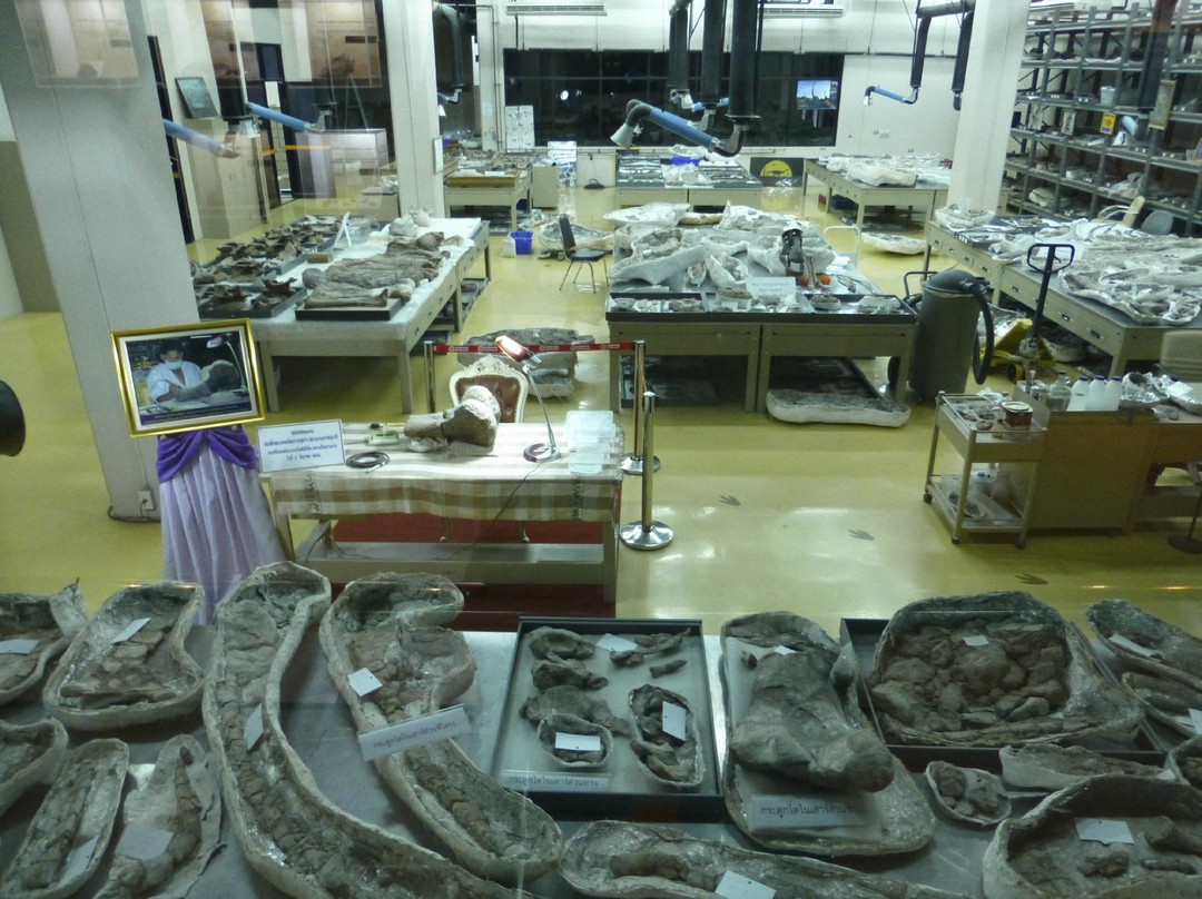 Sirindhorn Museum and Phu Kum Khao Dinosaur Excavation Site景点图片
