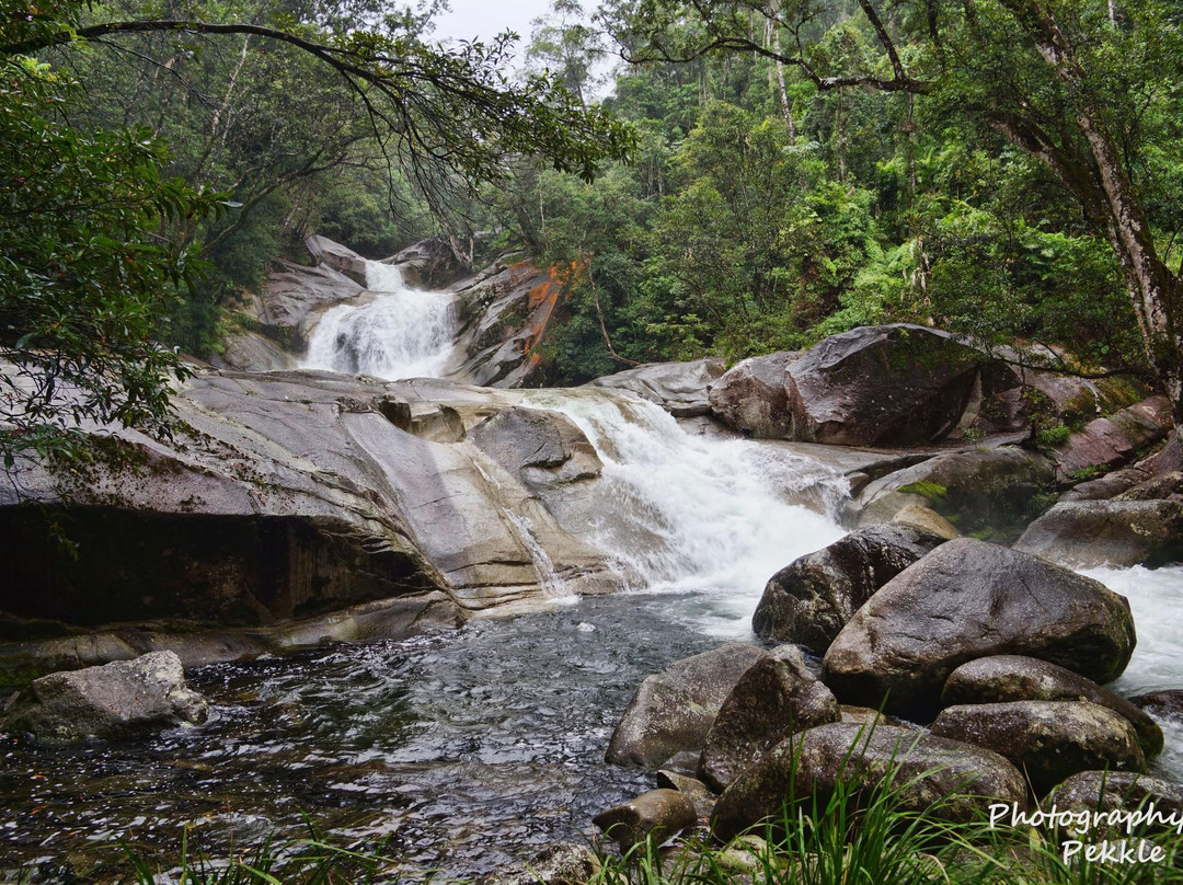 赤足观光之旅-凯恩斯必去景点