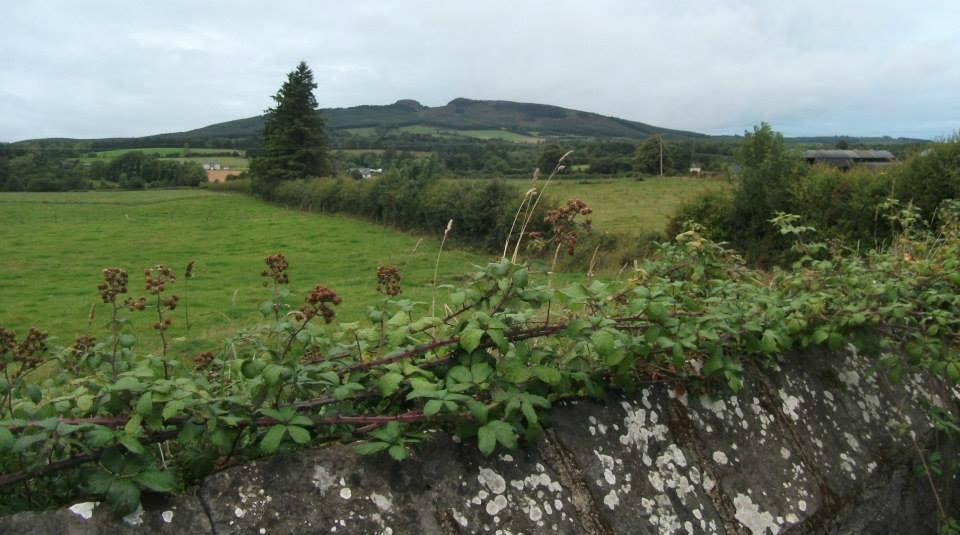 Devil's Bit