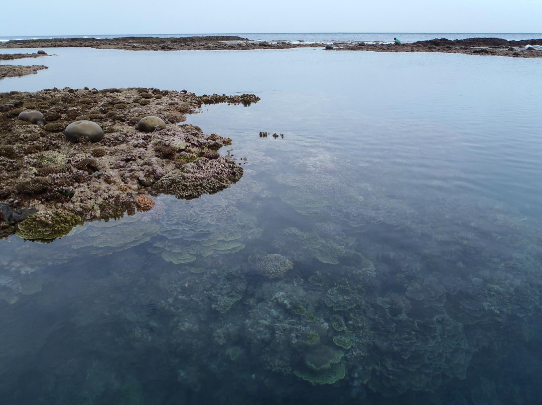 Blue Hole Number Two-塔纳岛必去景点