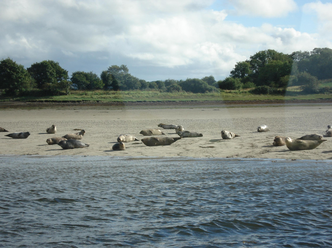 Donegal Bay Waterbus-多尼戈尔城镇必去景点