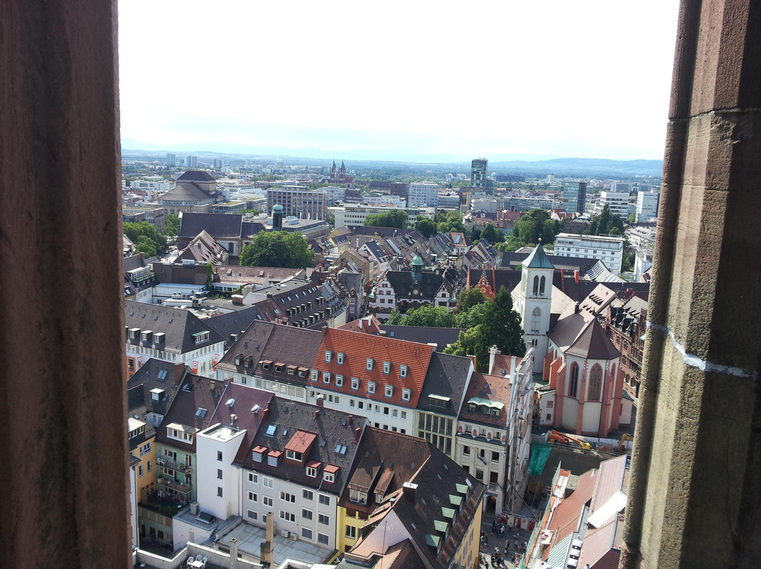 Freiburg Cathedral-佛莱堡必去景点