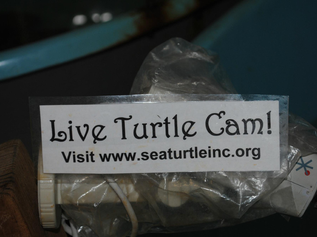 Sea Turtle, Inc.-南帕诸岛必去景点