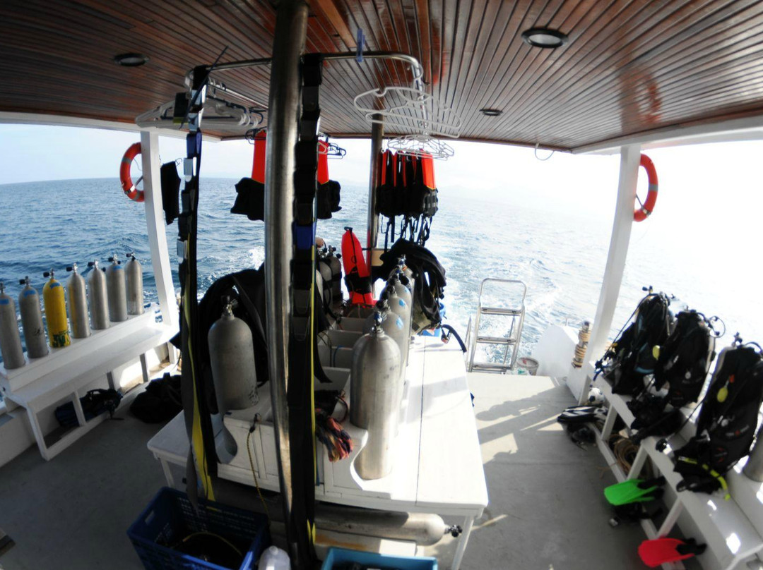 Anti Gravity Divers-兰塔岛必去景点