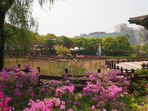 儿童大乐园-首尔必去景点