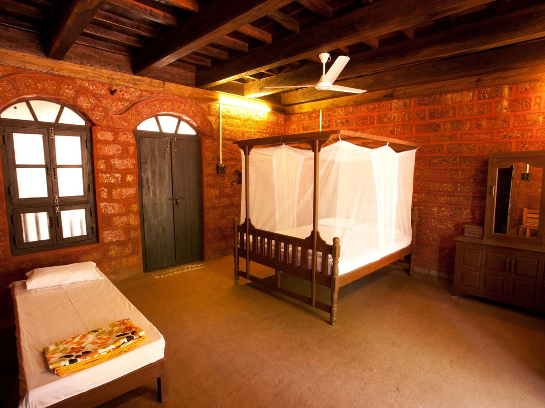 Konkan Nest