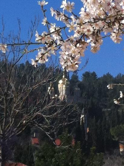 Tzlil Pa'amon B&B主图