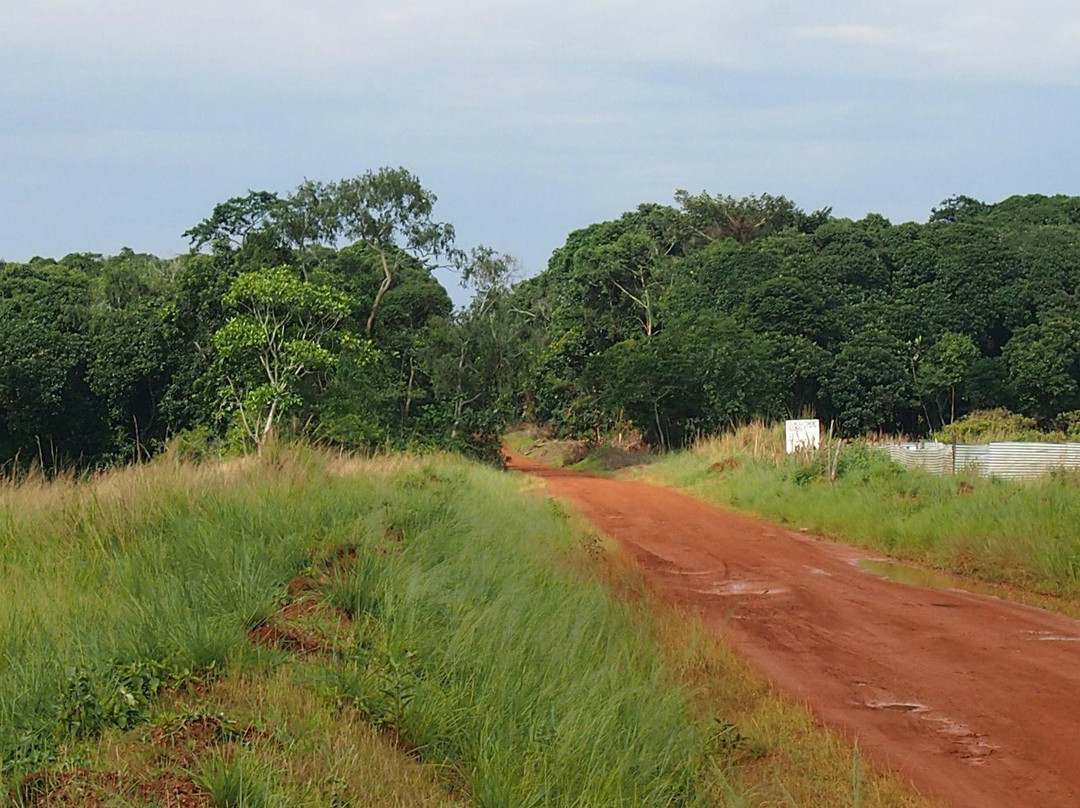 Ssese Islands-恩德培必去景点