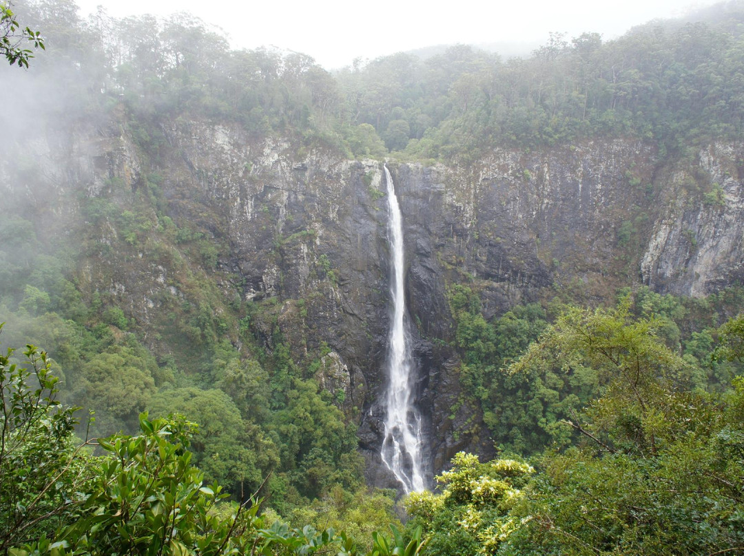 Ellenborough Falls-Elands必去景点