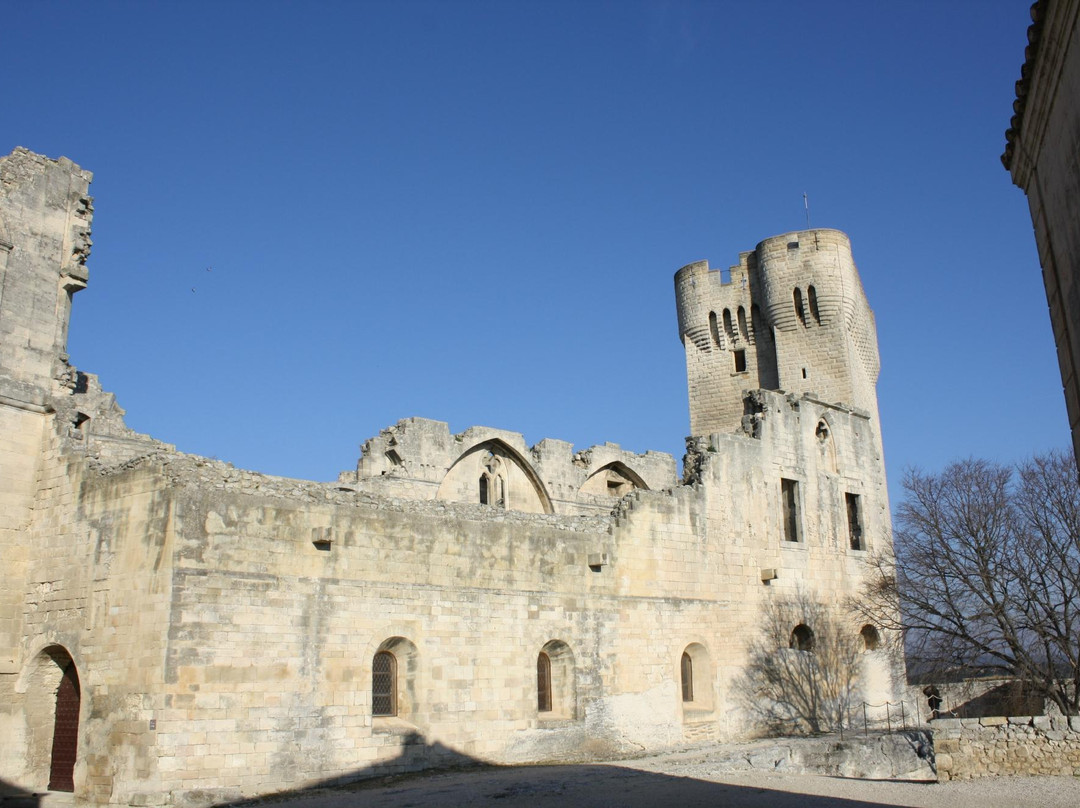 Abbaye de Montmajour-阿尔勒必去景点