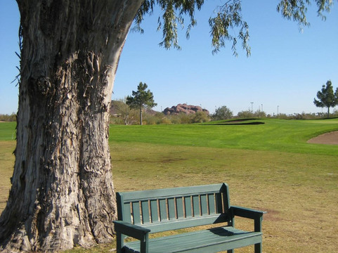 巴巴哥球场-凤凰城必去景点