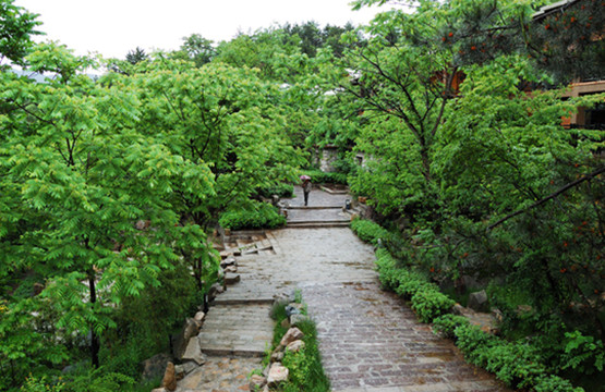 霍山大别山庄度假村主图