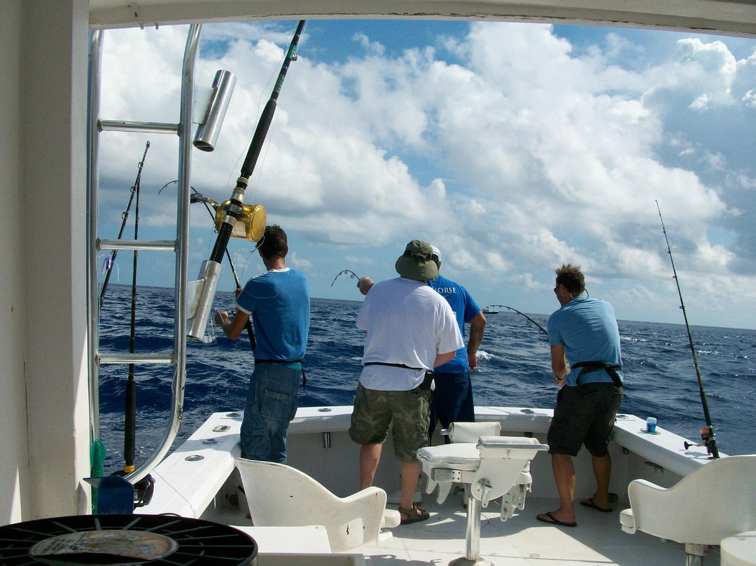 Sea Horse Private Charters-伊斯拉摩拉达必去景点