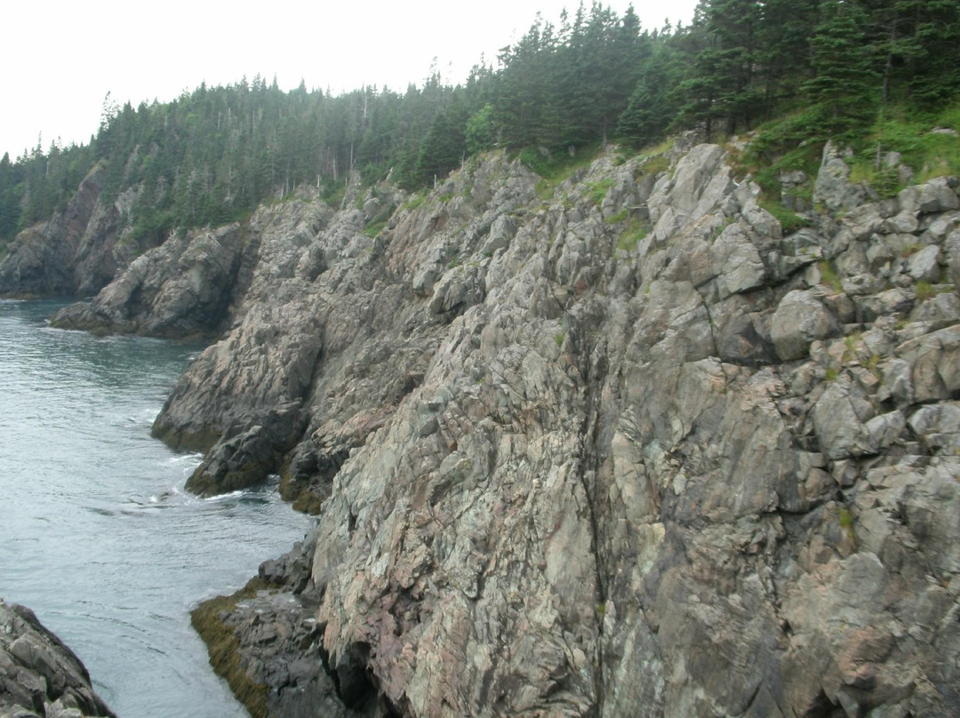 The Bold Coast景点图片