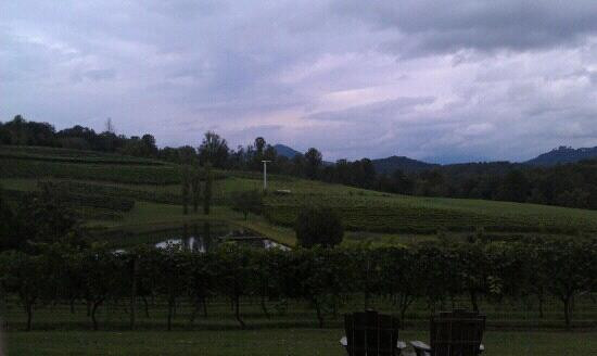 Crane Creek Vineyards-Young Harris必去景点