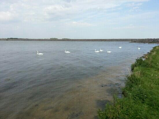 Rutland Water-奥克姆必去景点