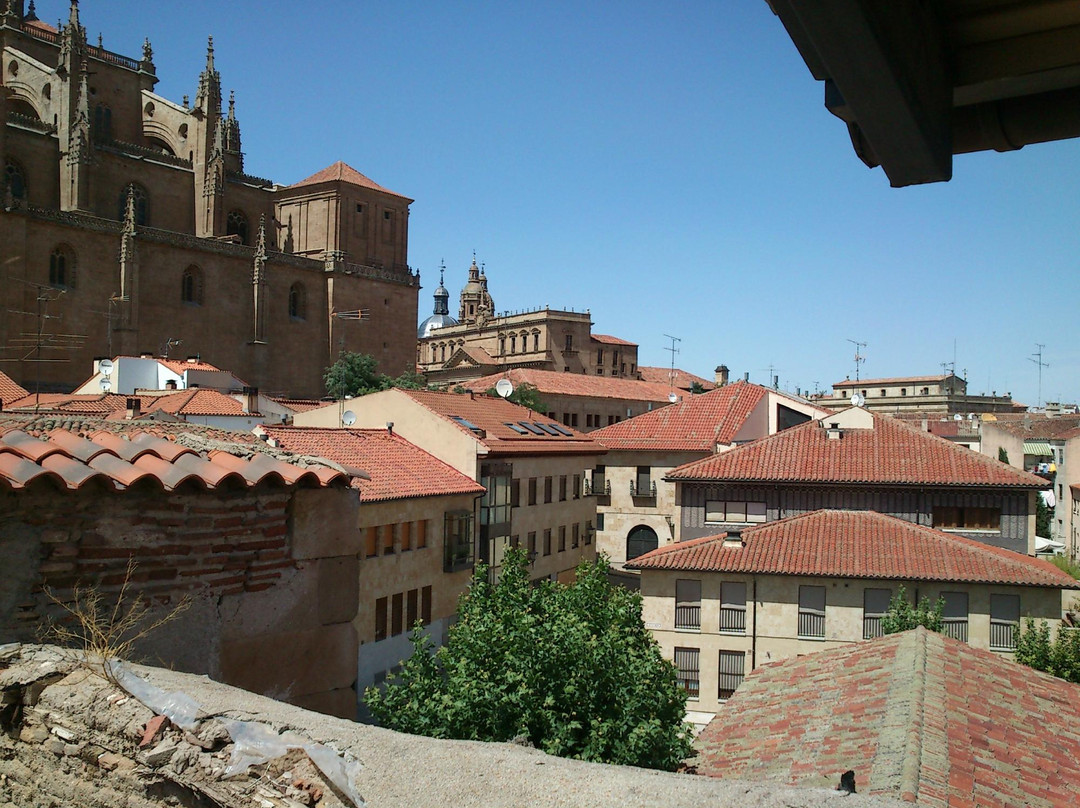 Cueva de Salamanca-萨拉曼卡必去景点