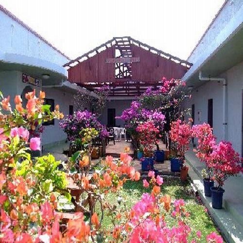 Patio House Reef-官方