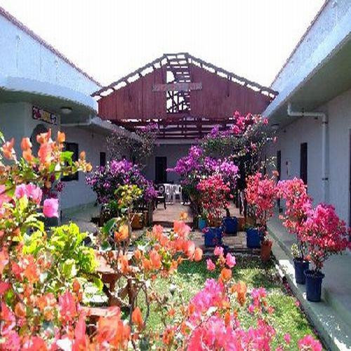 渡名喜村酒店住宿-Patio House Reef