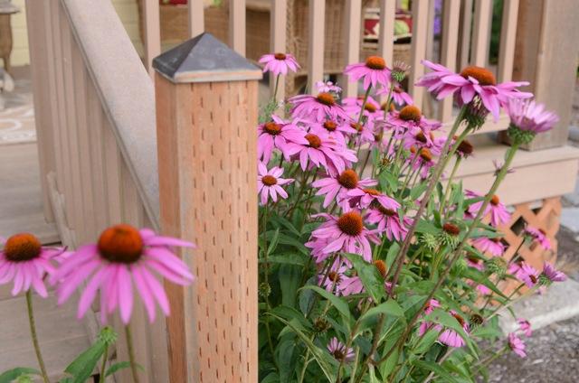 Hopewell Bed & Breakfast-浴室