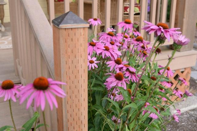 Hopewell Bed & Breakfast主图