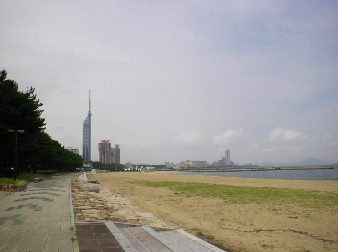 海中道海滨公园-福冈市必去景点