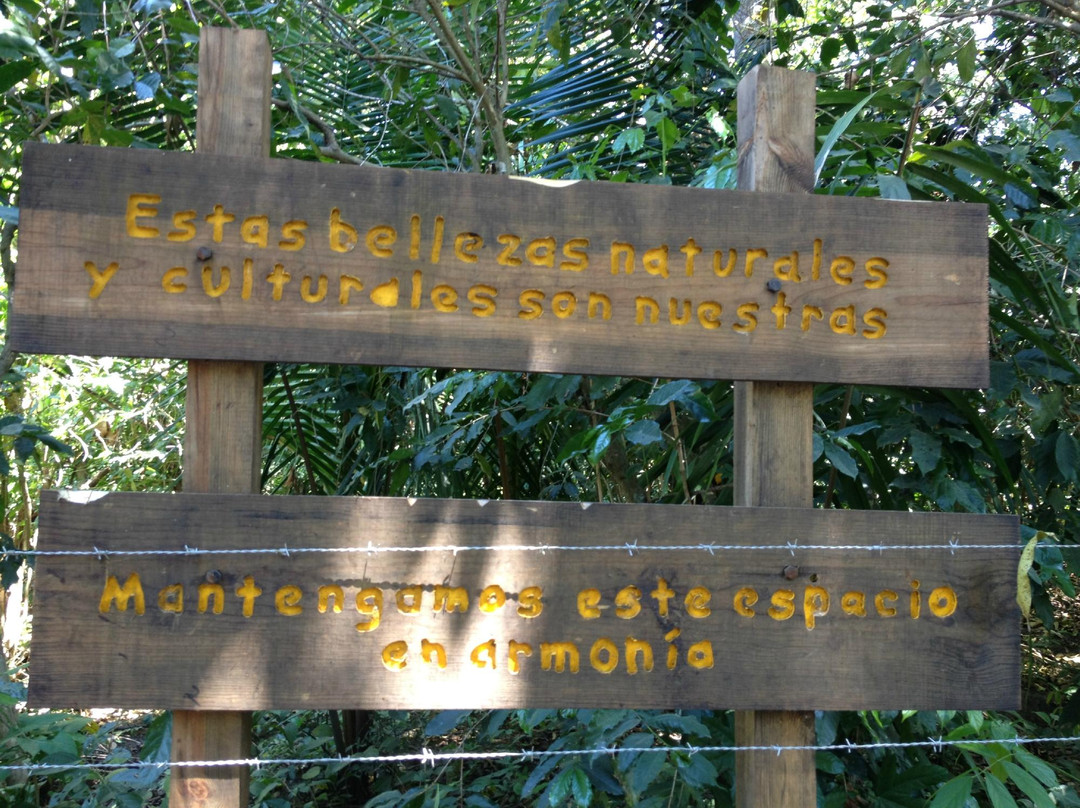 Experience Mex-ECO Tours-Melaque必去景点