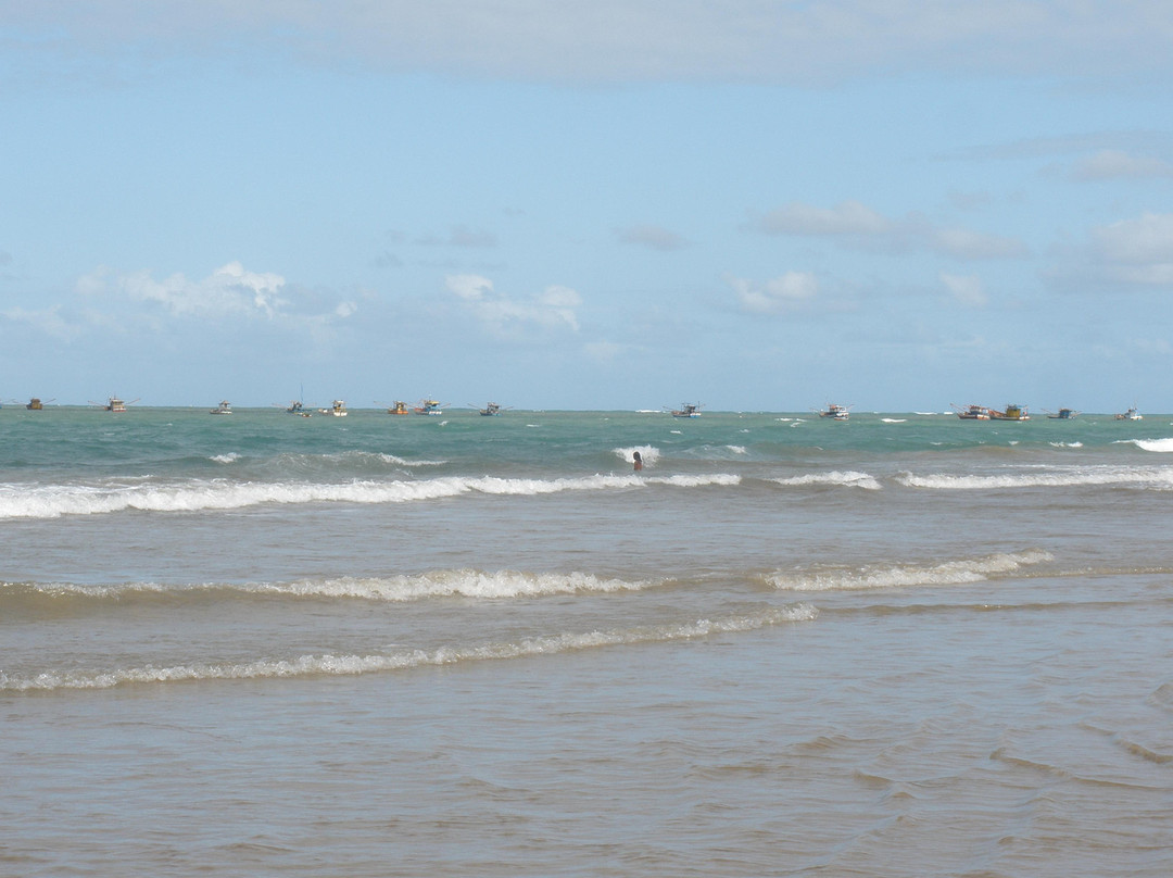 Pontal do Peba Beach-Piacabucu必去景点