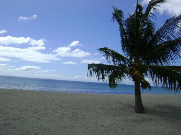 Playa Laiya景点图片