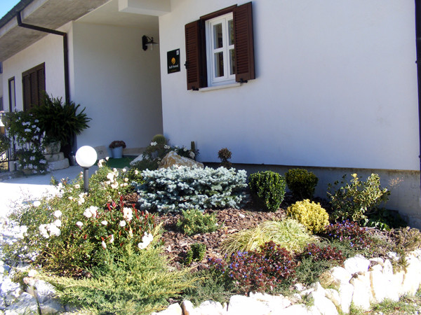 Bed & Breakfast Mammut主图